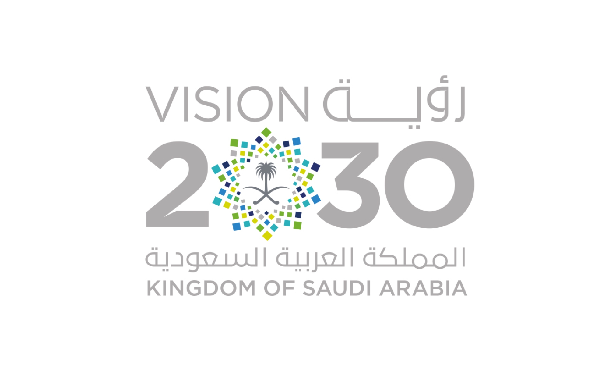 خاص - رؤية 2030 السعودية بعيون عربية
